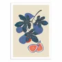 Affiches - Affiche - Fig tree branch - El Buen Limon - WALL EDITIONS