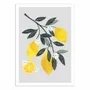 Affiches - Affiche - Lemon tree branch - El Buen Limon - WALL EDITIONS