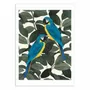 Affiches - Affiche - Parrots and jungle - El Buen Limon - WALL EDITIONS
