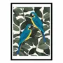 Affiches - Affiche - Parrots and jungle - El Buen Limon - WALL EDITIONS