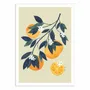 Affiches - Affiche - Orange tree branch - El Buen Limon - WALL EDITIONS