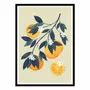Affiches - Affiche - Orange tree branch - El Buen Limon - WALL EDITIONS