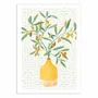 Affiches - Affiche - Chinese citrus tree - Kristian Gallagher - WALL EDITIONS
