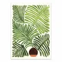 Affiches - Affiche - Summer Fern - Kristian Gallagher - WALL EDITIONS