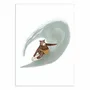 Poster - Art-Poster - Barnaby Surf - Urchin Bay - WALL EDITIONS
