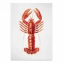 Poster - Art-Poster - Lobster Watercolor - Gal Design - WALL EDITIONS