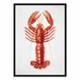 Poster - Art-Poster - Lobster Watercolor - Gal Design - WALL EDITIONS