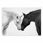 Affiches - Affiche - Romeo and Juliet Horses - Gal Design - WALL EDITIONS
