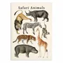 Poster - Art-Poster - Safari Animals - Gal Design - WALL EDITIONS
