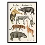 Poster - Art-Poster - Safari Animals - Gal Design - WALL EDITIONS