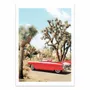 Affiches - Affiche - Vintage Roadtrip - Gal Design - WALL EDITIONS
