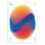 Affiches - Affiche - Spirala - Posterlad - WALL EDITIONS