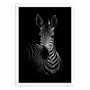 Affiches - Affiche - The Zebra - Wildphoto - WALL EDITIONS