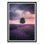 Poster - Art-Poster - Lavender Fields - Cuma Cevik - WALL EDITIONS