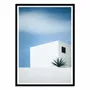 Affiches - Affiche - Palm tree - Renate Wasinger - WALL EDITIONS