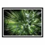 Poster - Art-Poster - ARASHIYAMA - David Ros - WALL EDITIONS