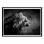 Poster - Art-Poster - The Male - 1x - WALL EDITIONS