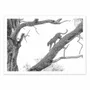 Affiches - Affiche - High key Leopard - 1x - WALL EDITIONS