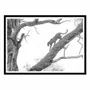 Affiches - Affiche - High key Leopard - 1x - WALL EDITIONS