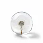 Décorations florales - In Flore Dandelion Paperweight, 8 cm, White - WWA AB, IN FLORE