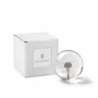 Décorations florales - In Flore Dandelion Paperweight, 8 cm, White - WWA AB, IN FLORE