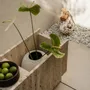 Autres tables  - LIDO - porte-plante en pierre naturelle - UN'COMMON