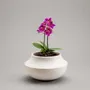 Design objects - Mini plant pot or candleholder - Mini P.1 - CALLIGRAMME