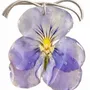 Bijoux - Collier violet éternel - V UNIQUENESS FINE GREEK JEWELRY