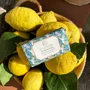 Savons - Coffret Le Syrenuse Body Soap - BLU COSTIERA