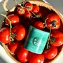 Bougies - Bougie Il Pomodoro 2,20 gr - BLU COSTIERA