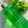 Soaps - Amalfi Basil Body & Hand Wash - BLU COSTIERA