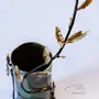 Vases - Vase L'INSOUMISE - FRÉDÉRIQUE TILLY