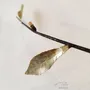 Other wall decoration - BRANCH OF LIFE - FRÉDÉRIQUE TILLY