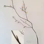 Other wall decoration - BRANCH OF LIFE - FRÉDÉRIQUE TILLY