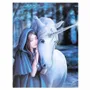 Objets de décoration - Plaque en toile Solace 19x25cm par Anne Stokes - SOMETHING DIFFERENT WHOLESALE EUROPE BV