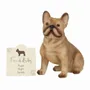 Ornaments - French Bull Dog Ornament - SOMETHING DIFFERENT WHOLESALE EUROPE BV