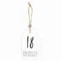 Panels - 18 Milestone Birthday Hanging Sentiment Sign - SOMETHING DIFFERENT WHOLESALE EUROPE BV