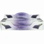 Parfums d'intérieur - Lot de 6 sachets de bâtonnets d'encens à la lavande Elements - SOMETHING DIFFERENT WHOLESALE EUROPE BV