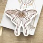 Jewelry - Luna Moth Trinket Dish - SOMETHING DIFFERENT WHOLESALE EUROPE BV