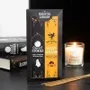 Decorative objects - Set of 2 Haunted Library Incense Stick Packs - SOMETHING DIFFERENT WHOLESALE EUROPE BV