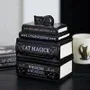 Decorative objects - Black Cat Book Stack Oil Burner with Cat - SOMETHING DIFFERENT WHOLESALE EUROPE BV