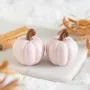 Objets de décoration - Salière et poivrière citrouilles roses à vrilles - SOMETHING DIFFERENT WHOLESALE EUROPE BV