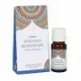 Decorative objects - Set of 12 Goloka Spanish Rosemary Fragrance Oils - SOMETHING DIFFERENT WHOLESALE EUROPE BV