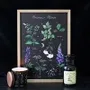 Decorative objects - Poisonous Plants Framed Wall Art Print - SOMETHING DIFFERENT WHOLESALE EUROPE BV