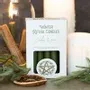 Decorative objects - Cedar & Pine Winter Ritual Spell Candles - SOMETHING DIFFERENT WHOLESALE EUROPE BV