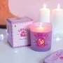 Objets de décoration - Bougie Zodiac Zest Vierge – agrumes et gingembre - SOMETHING DIFFERENT WHOLESALE EUROPE BV