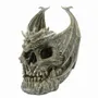 Ornements - Ornement Crâne de Dragon Draco par Spiral Direct - SOMETHING DIFFERENT WHOLESALE EUROPE BV