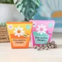 Garden accessories - Set of 12 Bee and Butterfly Seed Ball Packs in Display - SOMETHING DIFFERENT WHOLESALE EUROPE BV