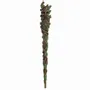 Decorative objects - Man of the Wood Wand - SOMETHING DIFFERENT WHOLESALE EUROPE BV