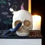 Ornaments - Skull Ornament with Snake - SOMETHING DIFFERENT WHOLESALE EUROPE BV
